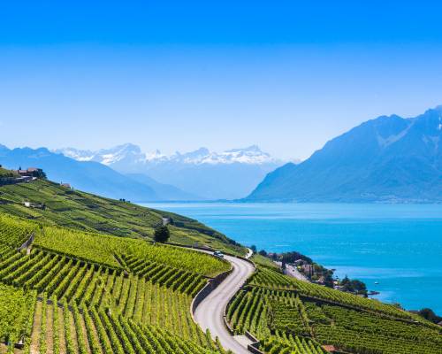 Lavaux vineyards overlooking Lake Geneva - Terrasses de Lavaux, Switzerland